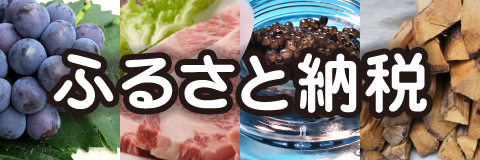 ふるさと納税